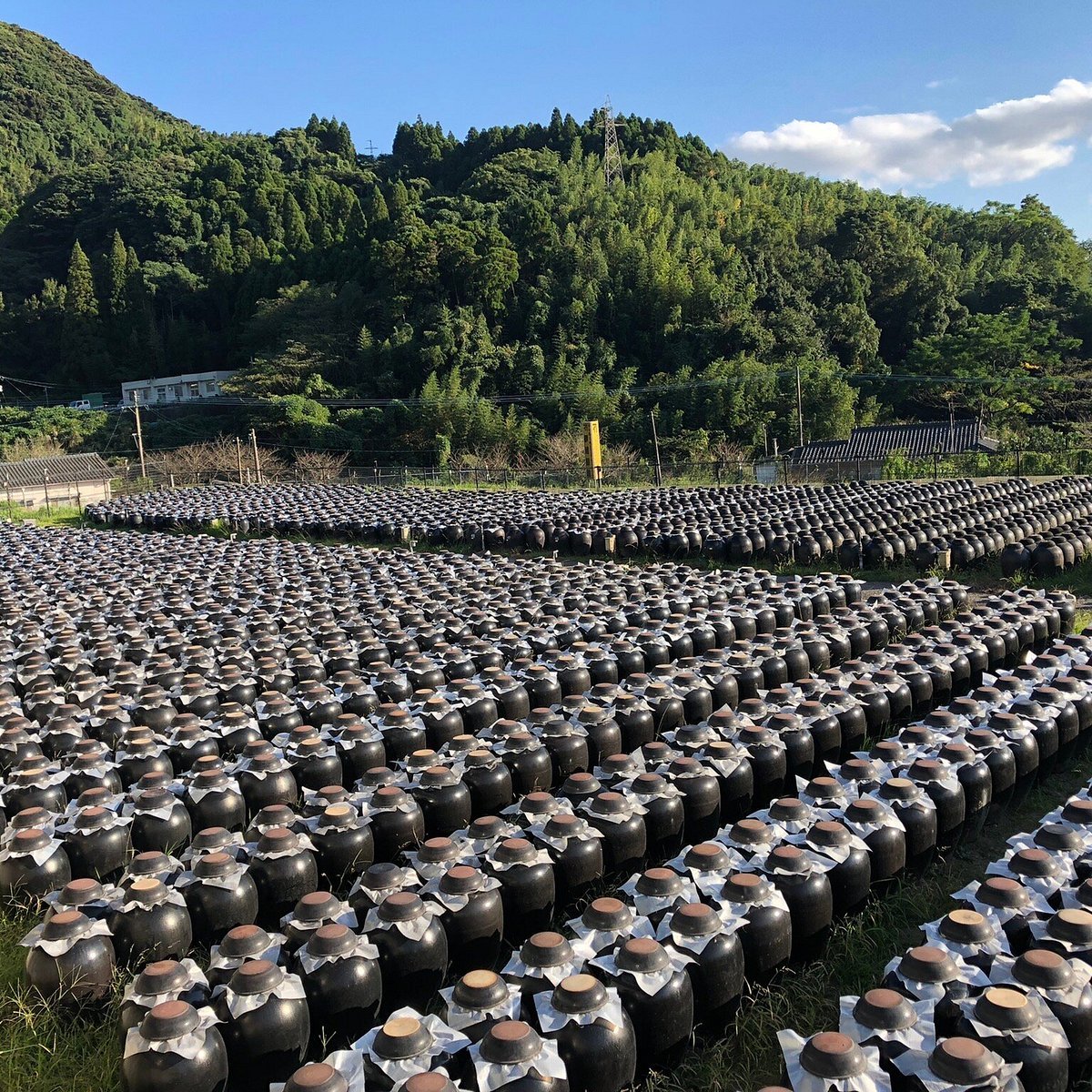 🏺 흑식초 정원 항아리밭 (구로즈가덴 쓰보바타케)